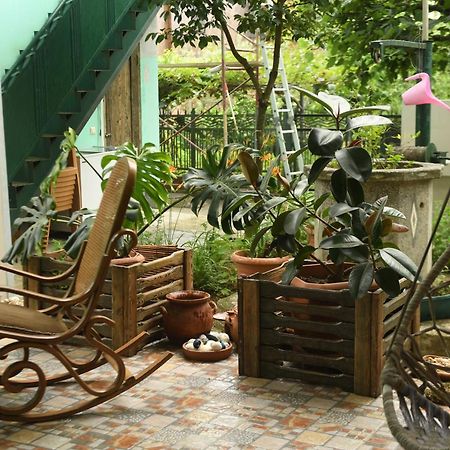 Guest House Green House Zugdidi Extérieur photo